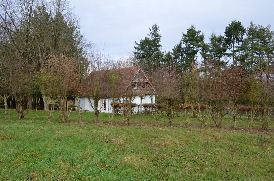 Farm Ranch in Le Bourgneuf-la-Foret, Pays de la Loire, France 2 - 17151079
