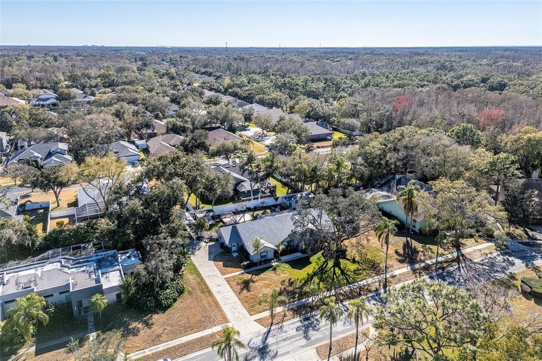 House in Odessa, Florida, United States 5 - 17152265