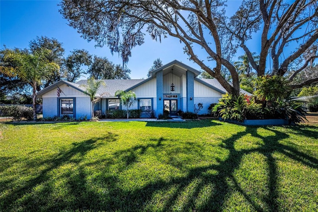 House in Odessa, Florida, United States 1 - 17152265