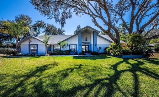 House in Odessa, Florida, United States 1