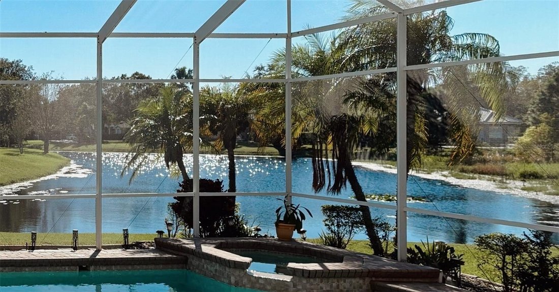 House in Palm Harbor, Florida, United States 3 - 16774847