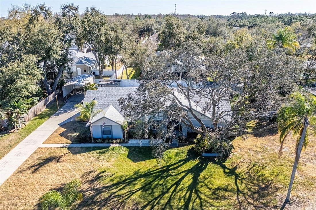 House in Odessa, Florida, United States 3 - 17152265