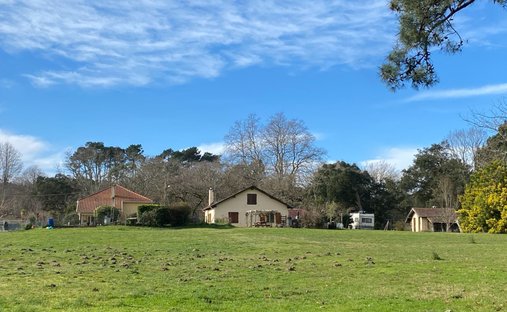 Estate in Seignosse, Nouvelle-Aquitaine, France 1