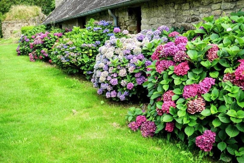 House in Guern, Brittany, France 4 - 16287078