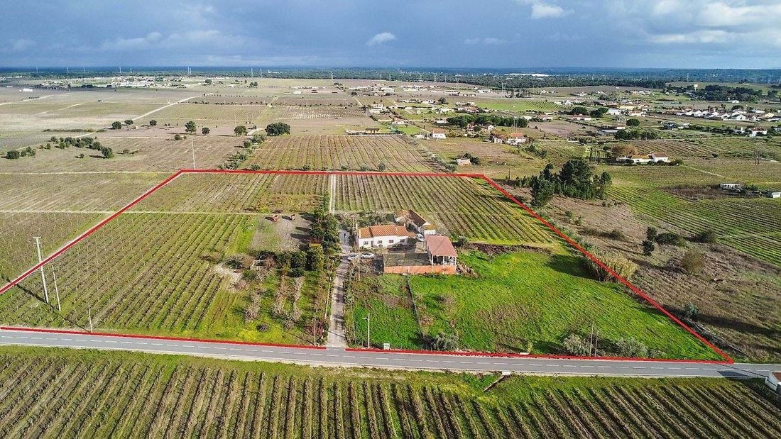 Farm Ranch in Poceirao e Marateca, Setubal, Portugal 1 - 17153554