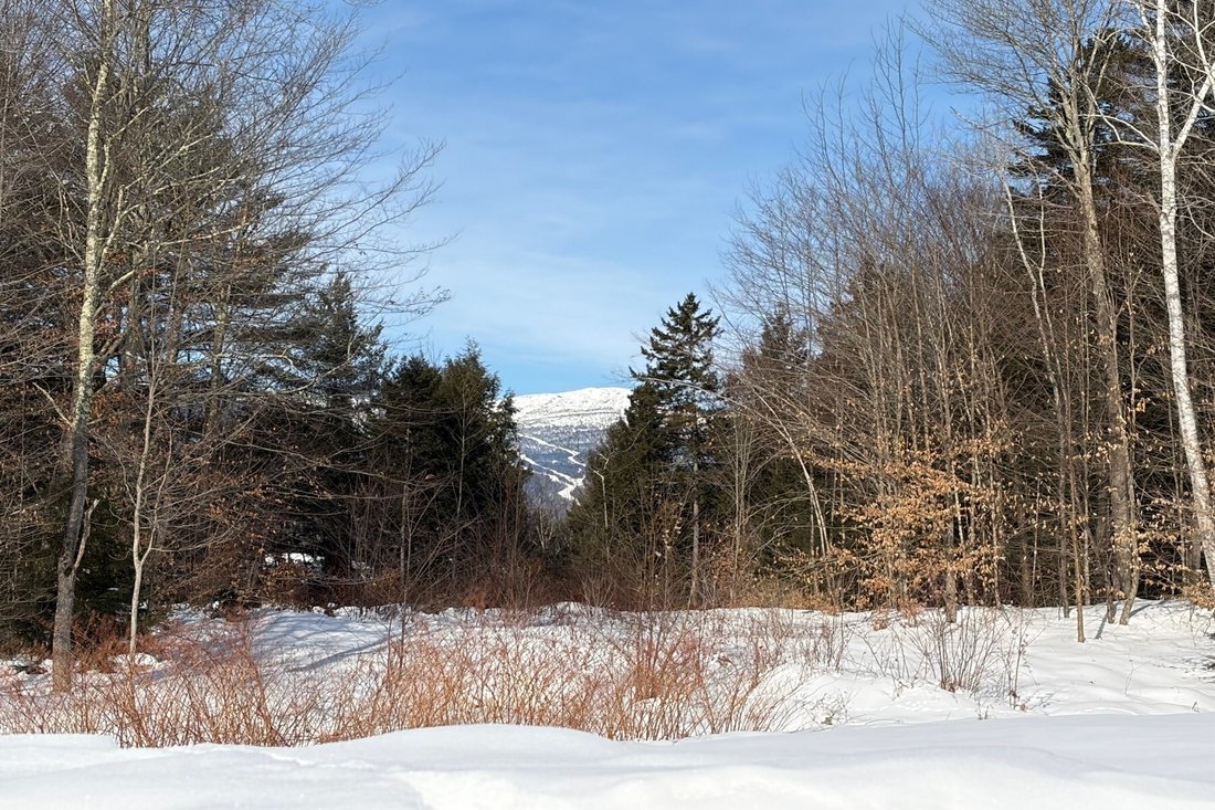 Condo in Stowe, Vermont, United States 2 - 16957363