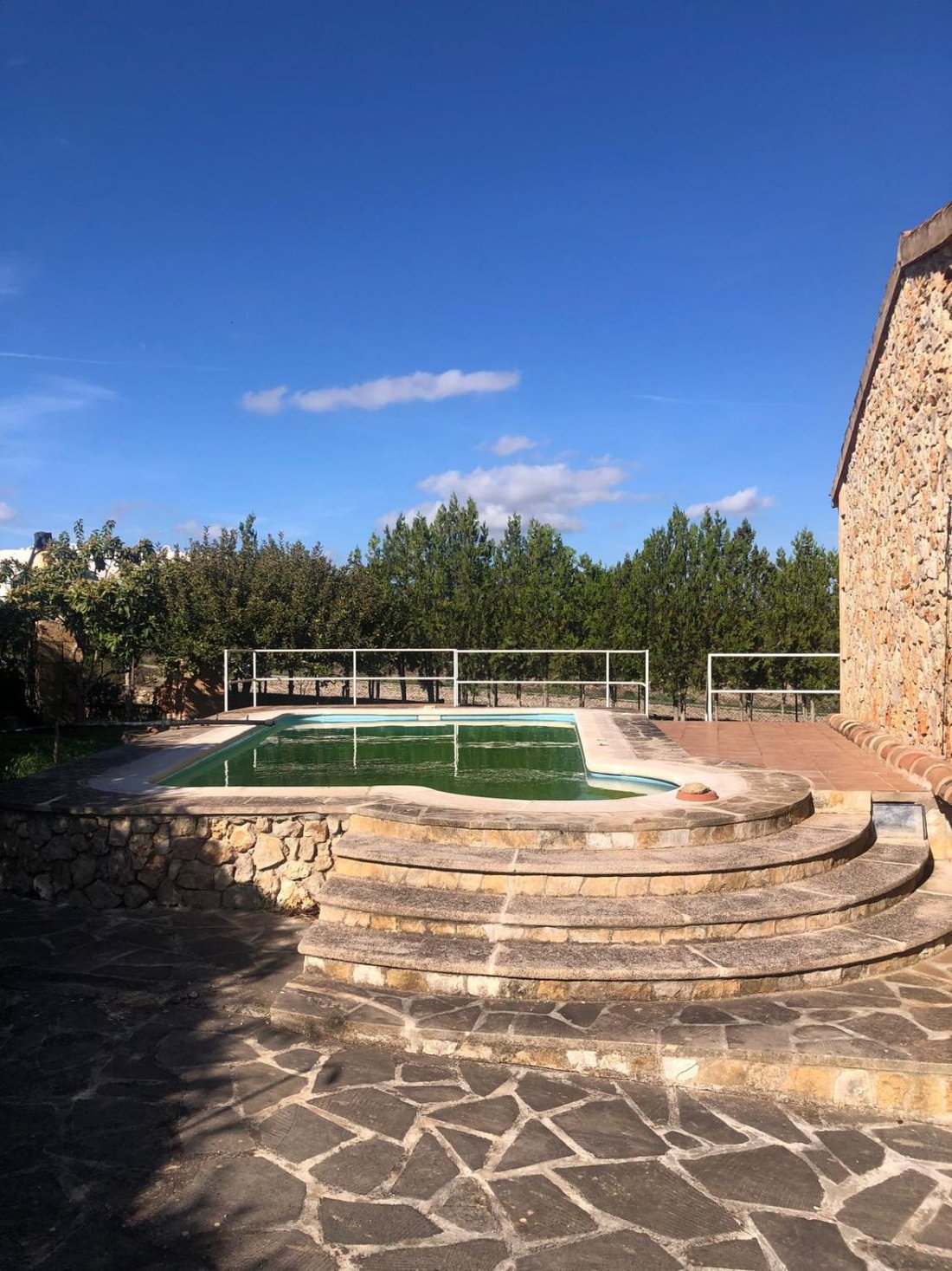 Country House in Petra, Balearic Islands, Spain 3 - 17153470