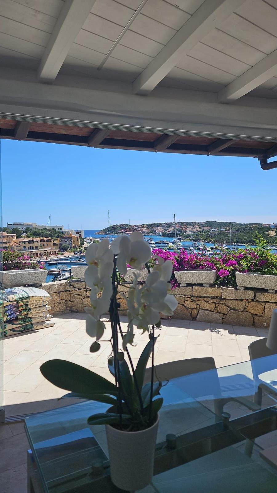 Apartment in Marina di Porto Cervo, Porto Cervo, Italy 1 - 17154458