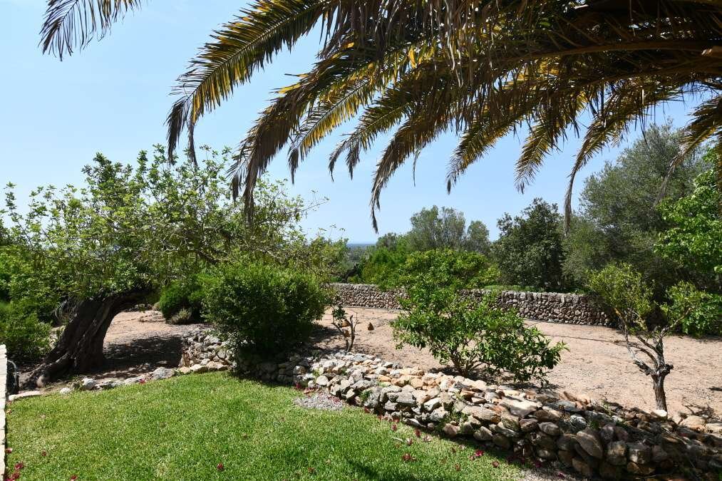 Finca in s'Alqueria Blanca, Santanyi, Balearic Islands 4 - 17154795