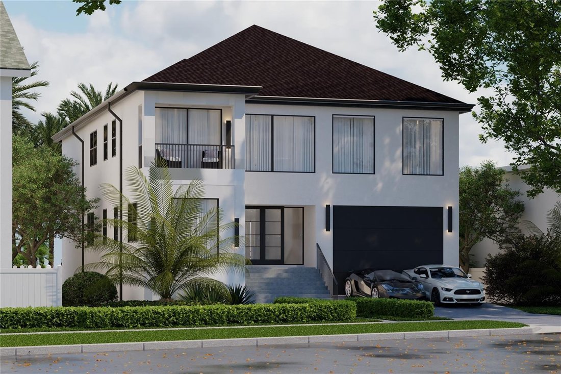 House in Tampa, Florida, United States 1 - 17182115