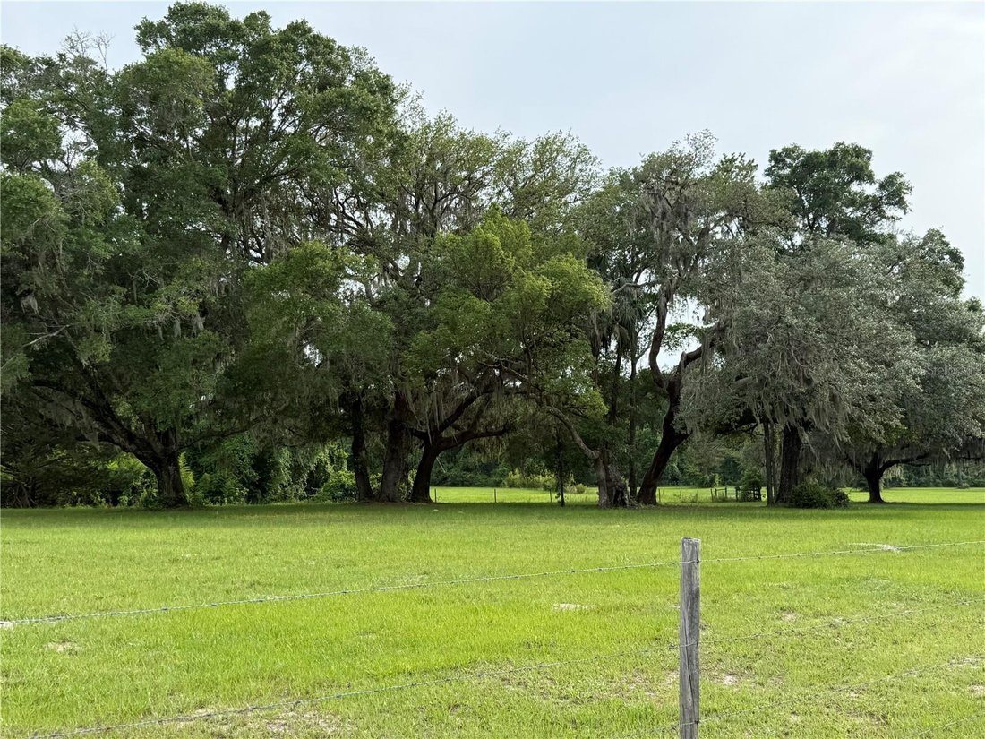 House in Palatka, Florida, United States 4 - 17178384