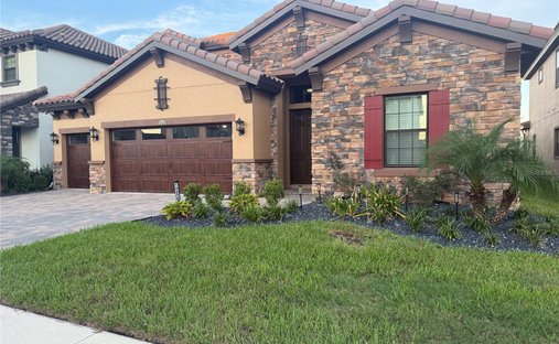 House in Wesley Chapel, Florida, United States 1