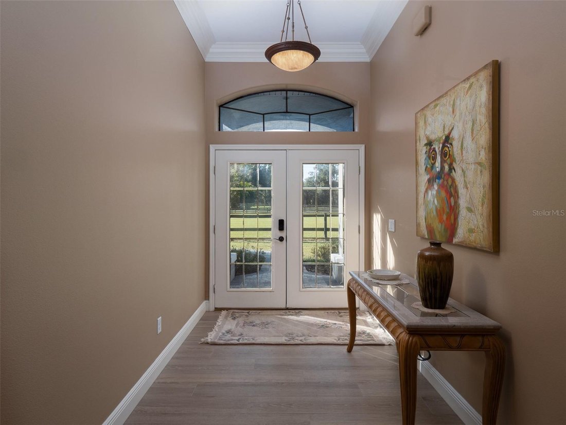 Farm Ranch in Morriston, Florida, United States 4 - 17180737