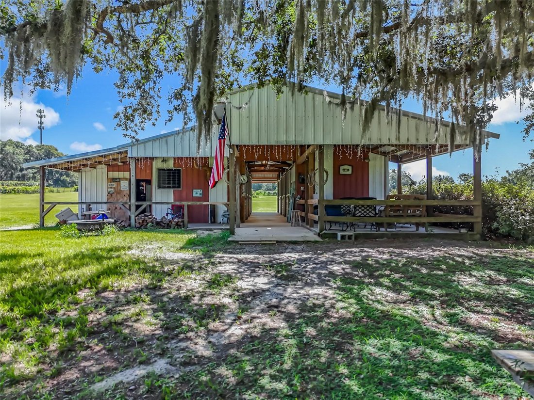Leesburg, Florida, United States 4 - 17181660