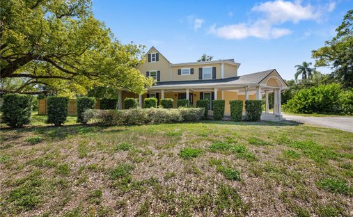 House in Palm Harbor, Florida, United States 1