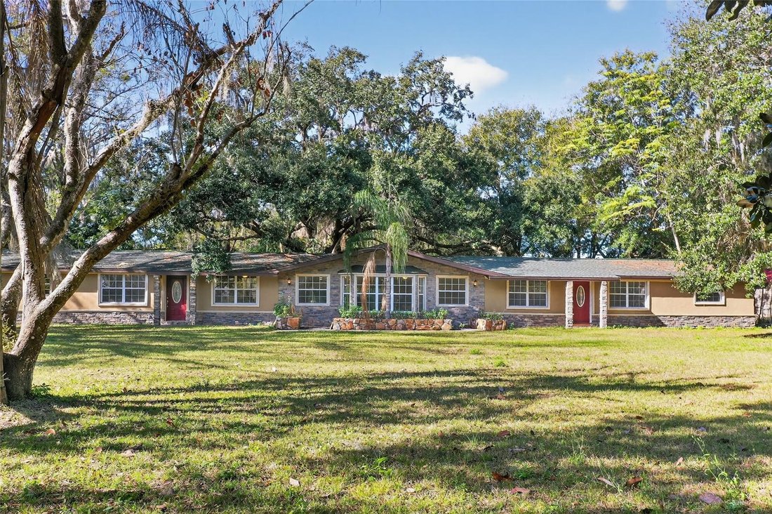 House in Lutz, Florida, United States 1 - 17187051
