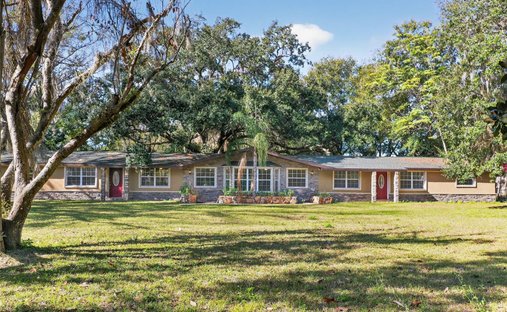House in Lutz, Florida, United States 1