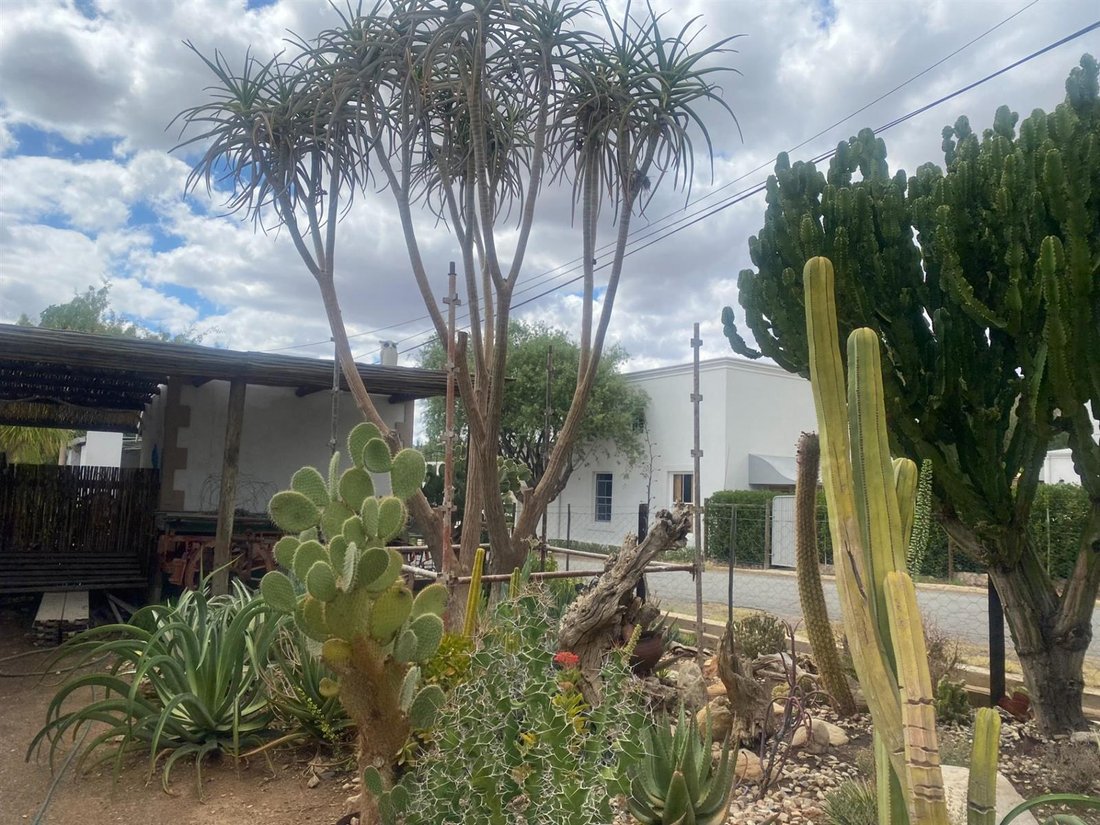 House in Prince Albert, Western Cape, South Africa 5 - 17182940