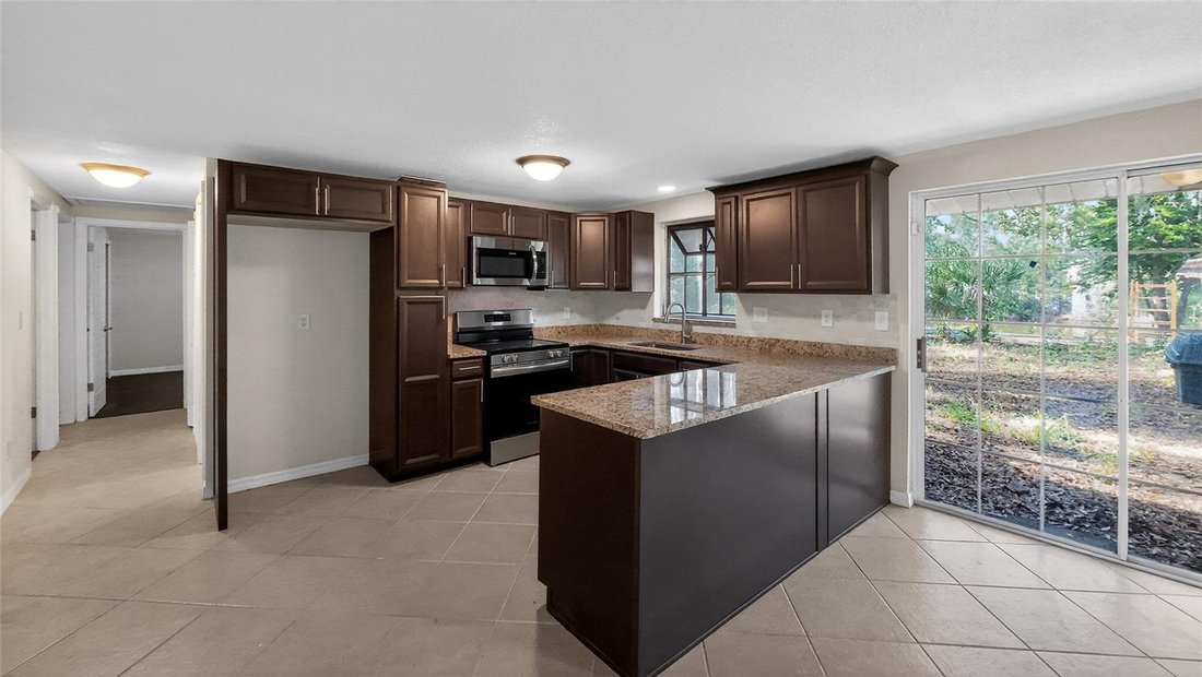 House in Lutz, Florida, United States 4 - 17187051