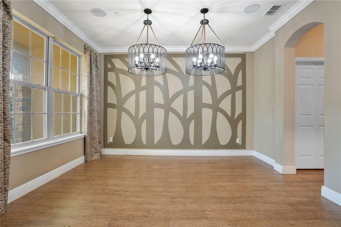 House in Oviedo, Florida, United States 5 - 17185602