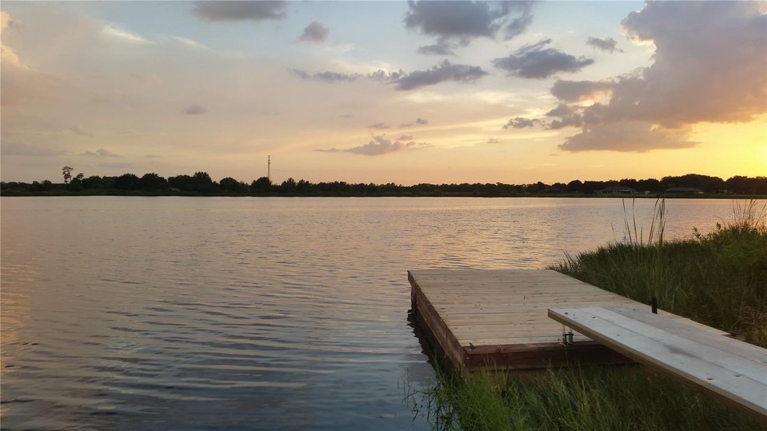 Wesley Chapel, Florida, United States 1 - 17185651