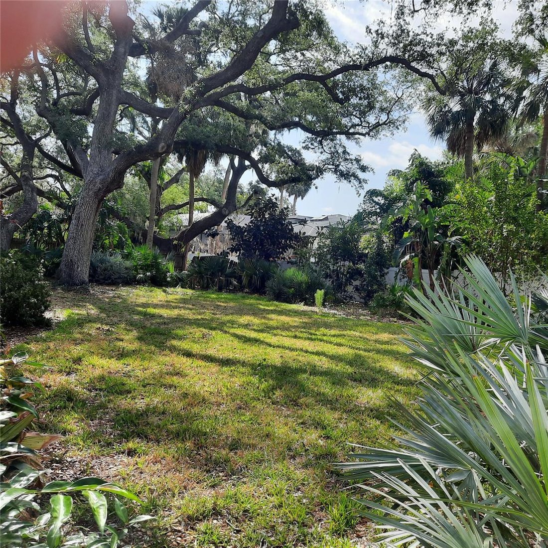 House in Tampa, Florida, United States 5 - 17187388