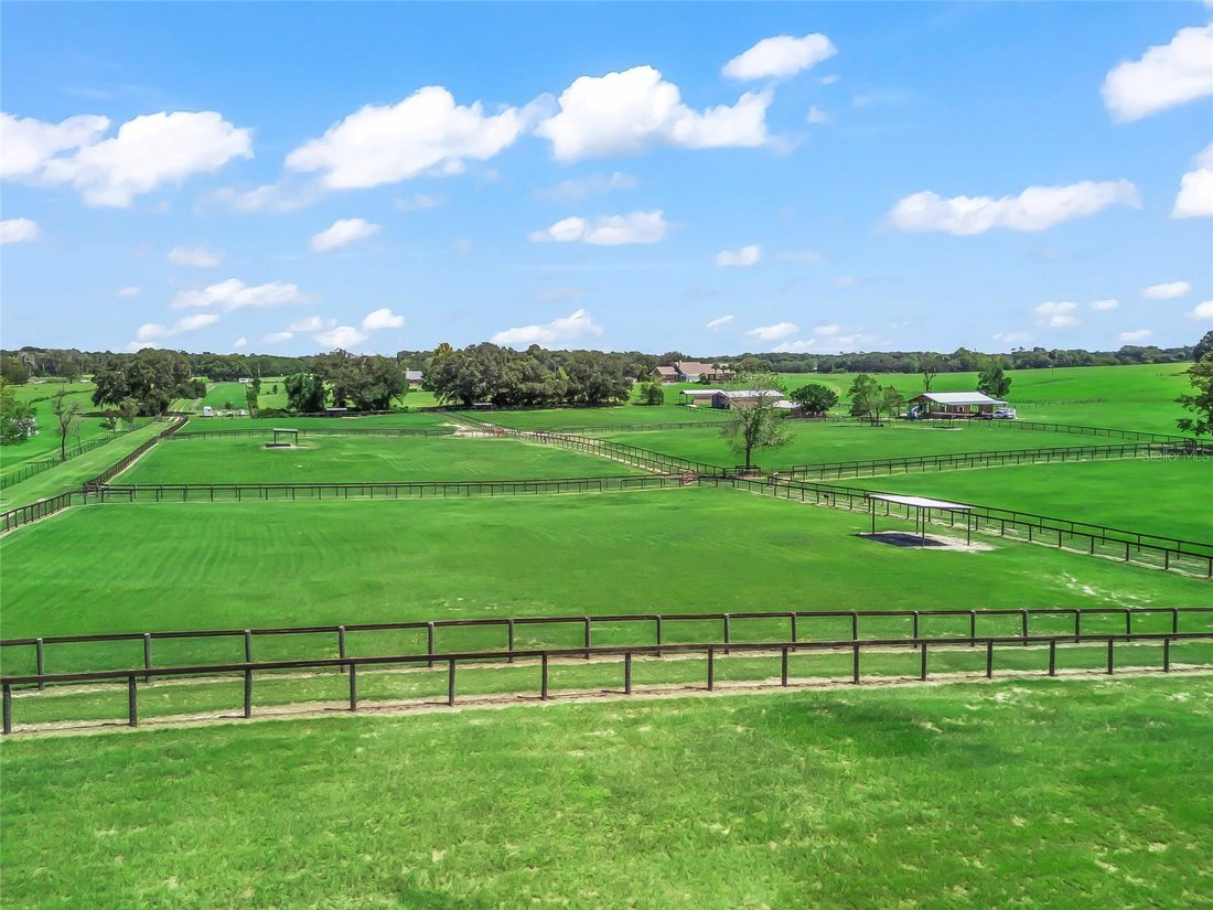 Farm Ranch in The Villages, Florida, United States 5 - 17179917