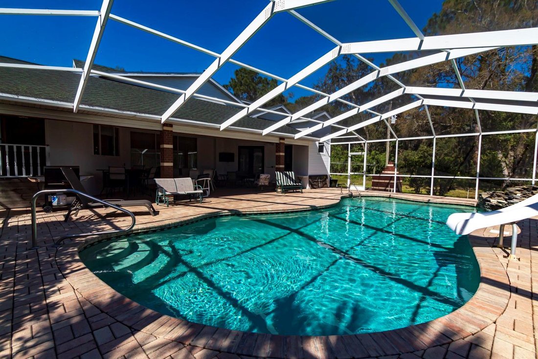 Maison à New Port Richey, Floride, États-Unis 5 - 17184453