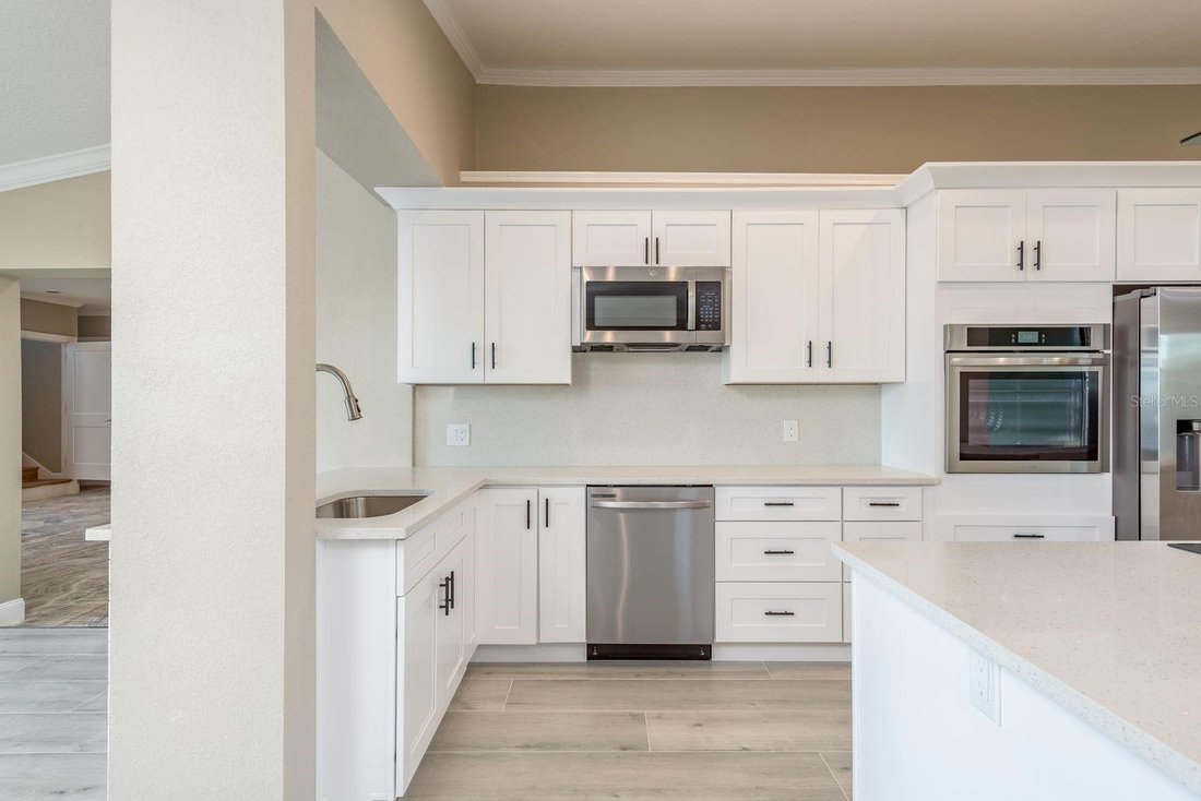 House in Palm Harbor, Florida, United States 5 - 17183041