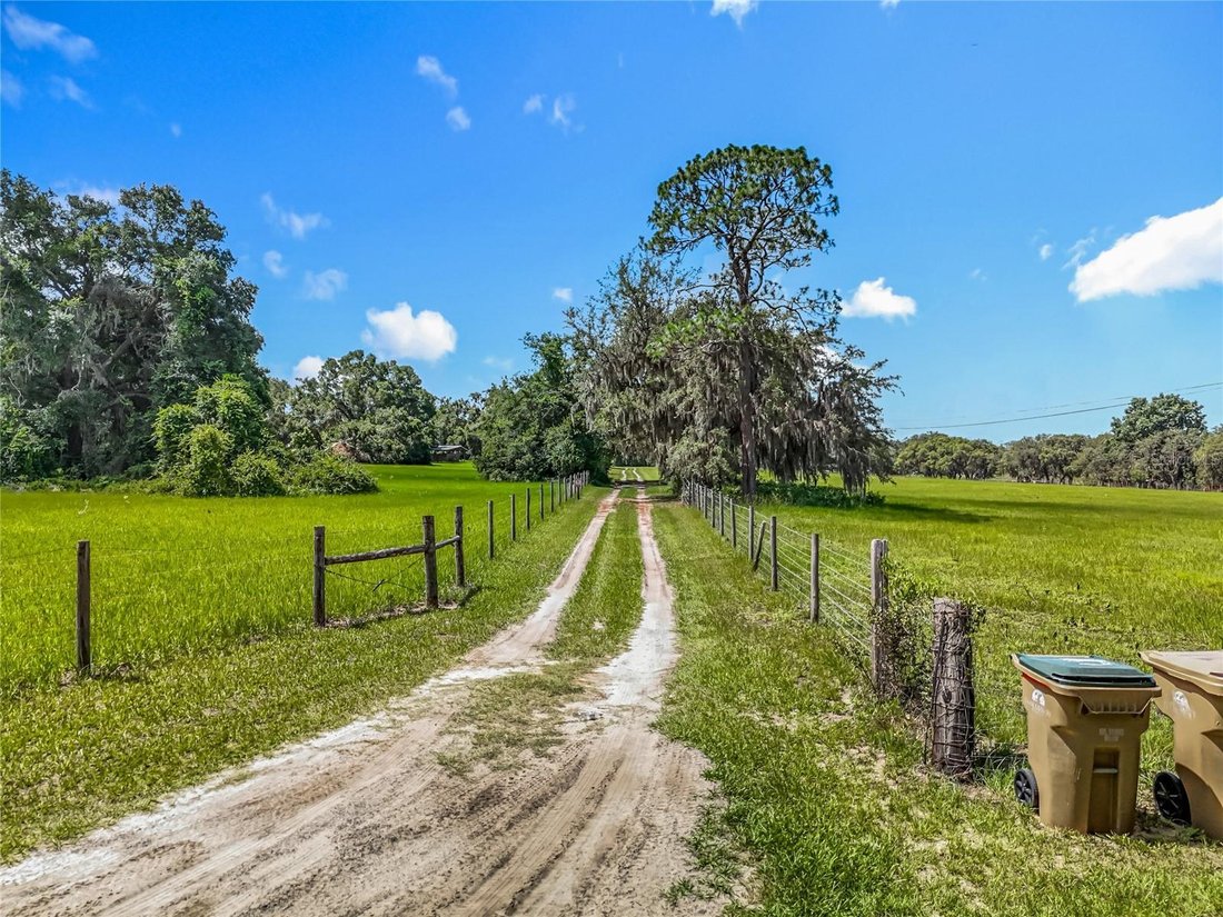 Leesburg, Florida, United States 2 - 17181660