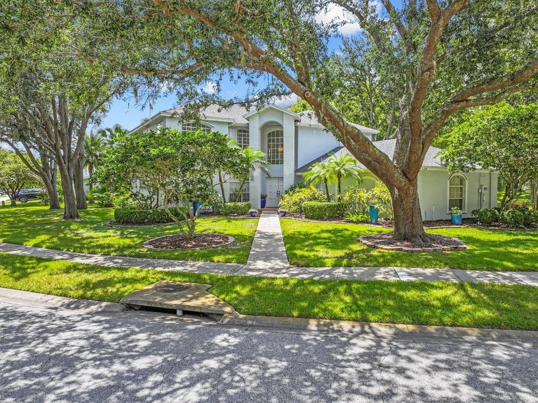 House in Oldsmar, Florida, United States 1 - 17182249
