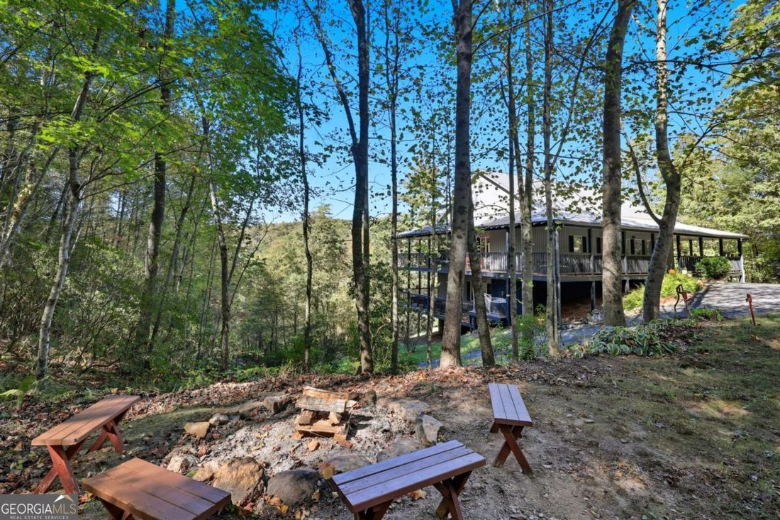 House in Mineral Bluff, Georgia, United States 3 - 17156353