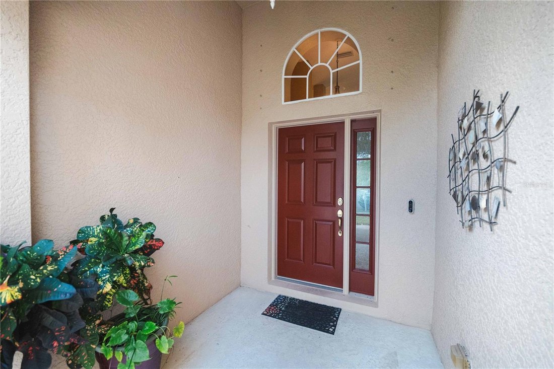 House in Tampa, Florida, United States 4 - 17180579