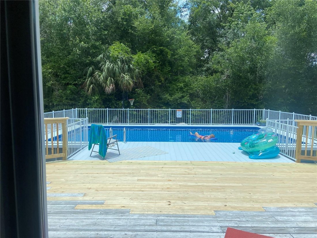 Seville, Florida, United States 2 - 17182396