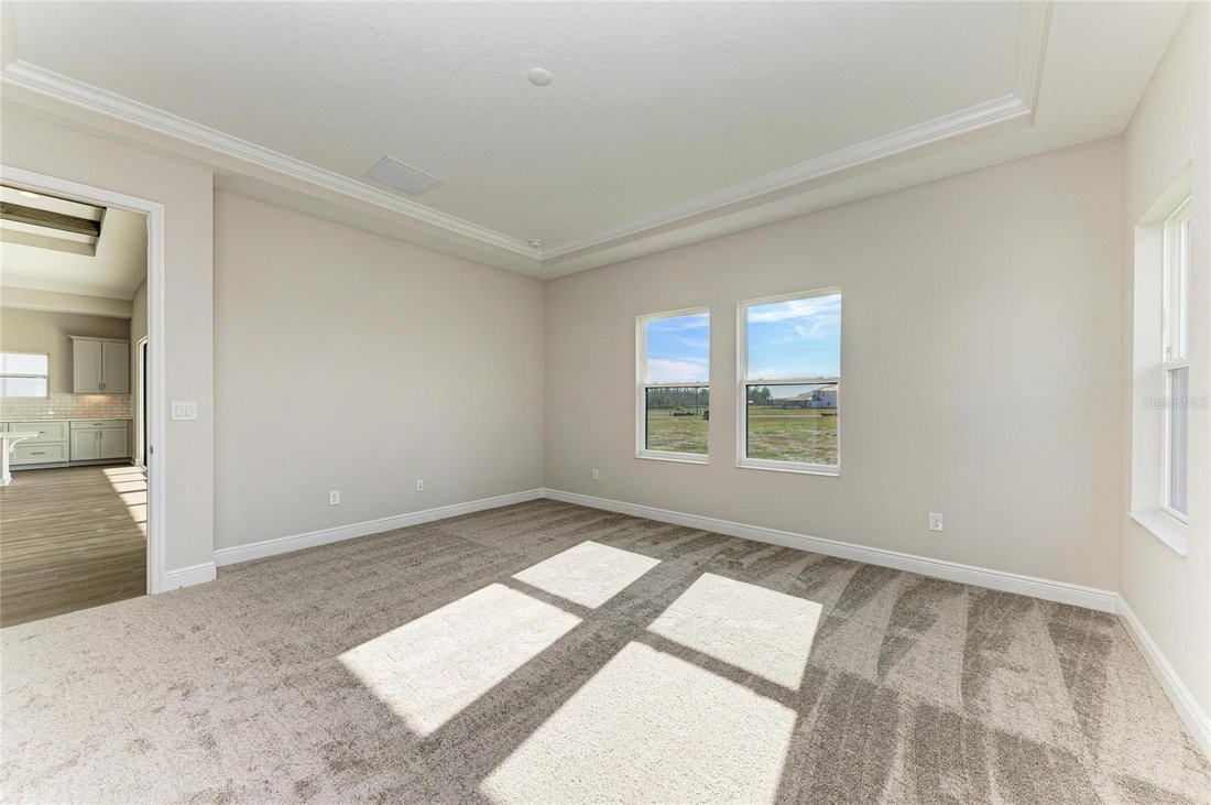 House in Zephyrhills, Florida, United States 5 - 17179124