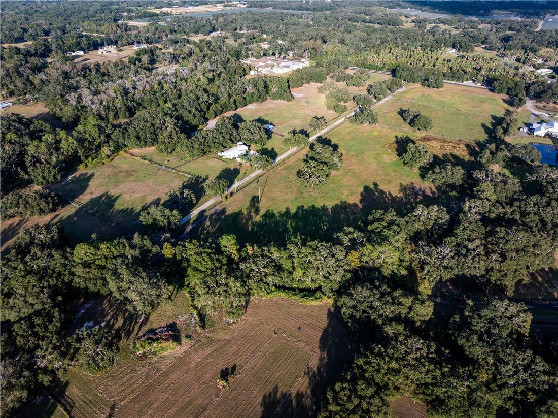 House in Thonotosassa, Florida, United States 5 - 17178905