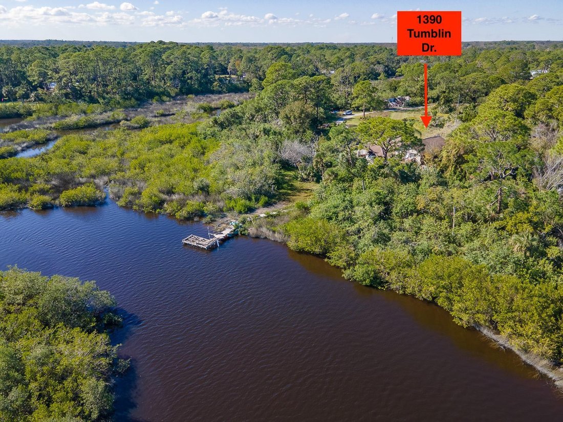 House in New Smyrna Beach, Florida, United States 3 - 17186578