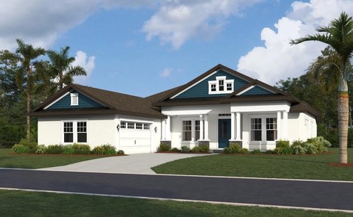 House in South Brooksville, Florida, United States 1