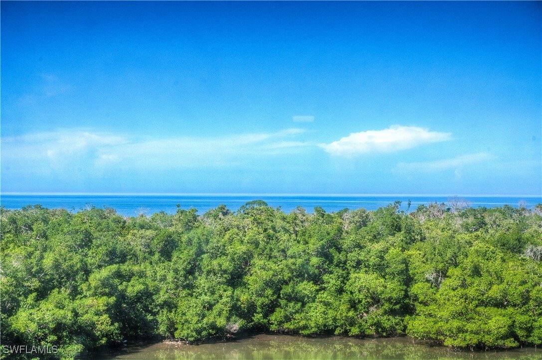 Condo in Naples, Florida, United States 5 - 17176293