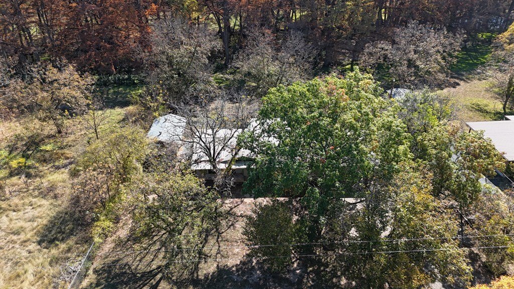 Uvalde, Texas, United States 3 - 17173869