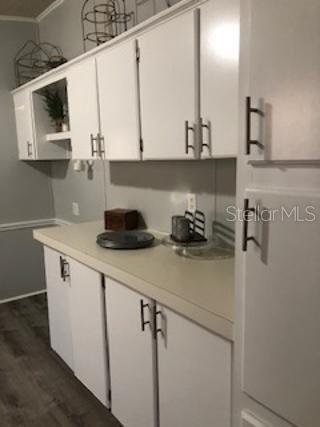 Wesley Chapel, Florida, United States 5 - 17185651