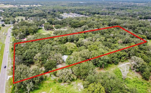 House in Riverview, Florida, United States 1