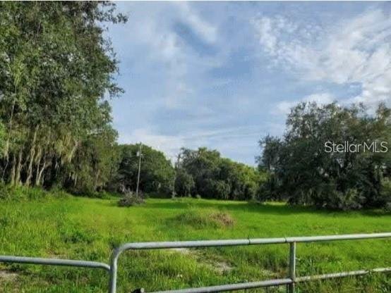 House in Wimauma, Florida, United States 2 - 17179289