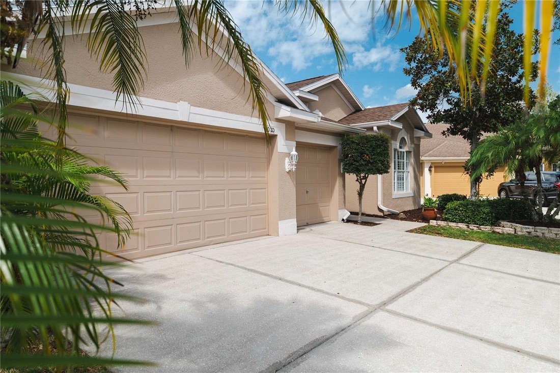 House in Tampa, Florida, United States 3 - 17180579