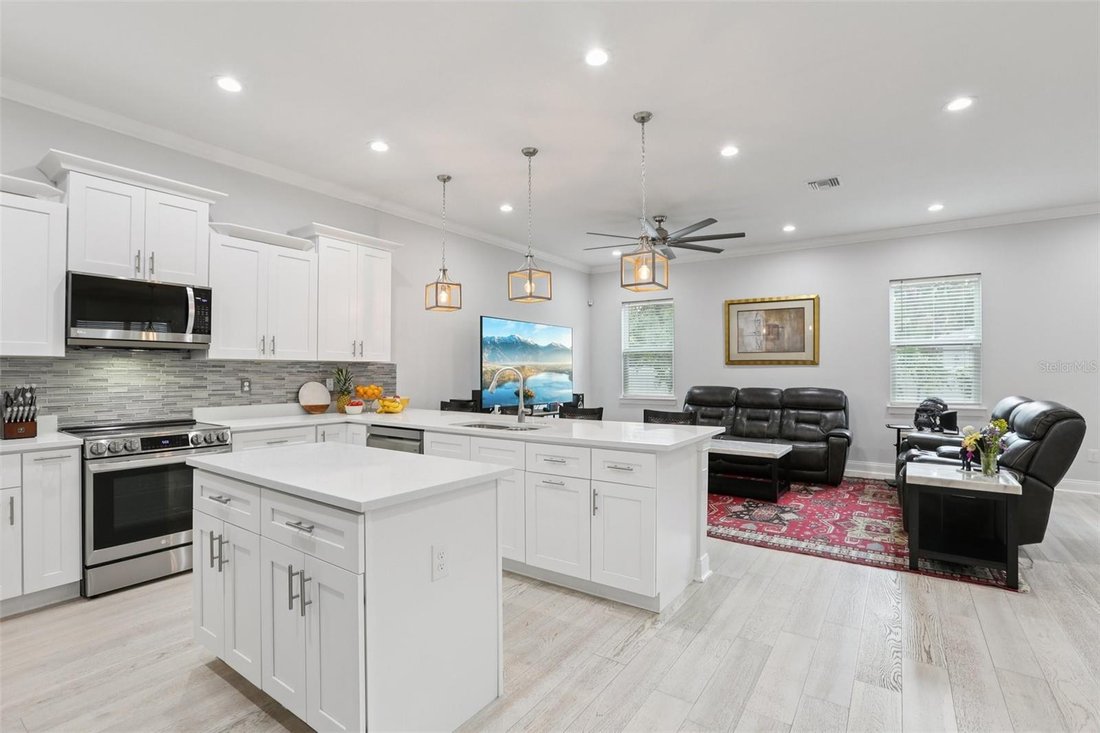 House in Tampa, Florida, United States 5 - 17179899