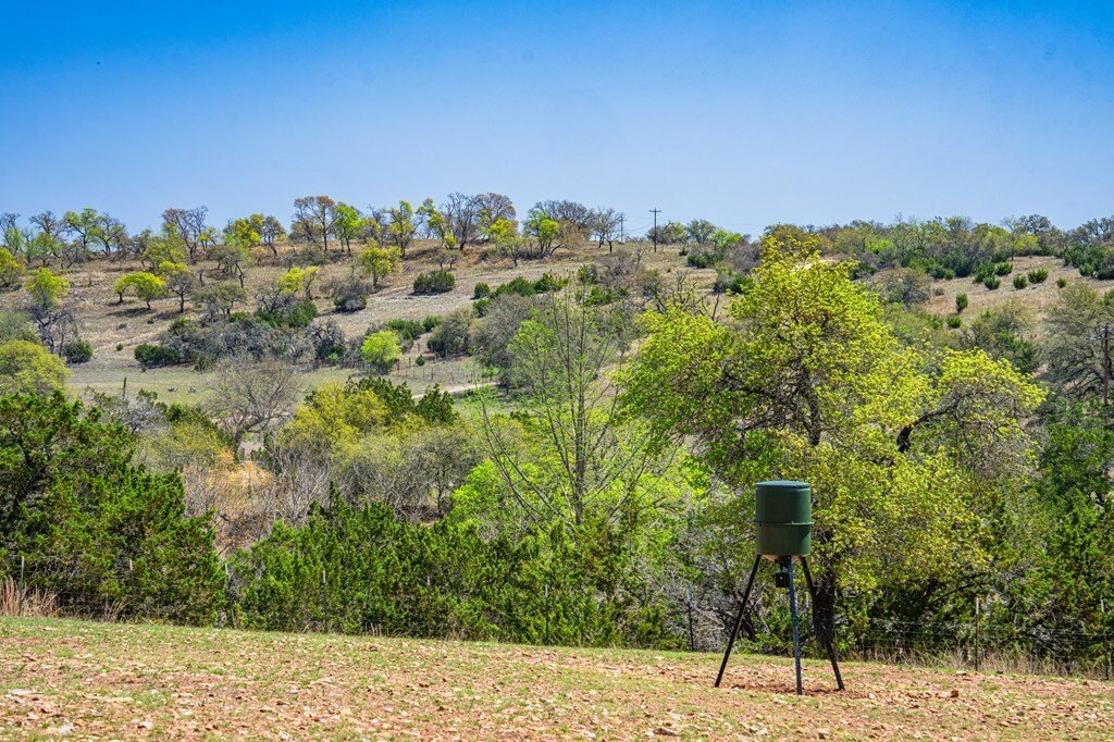 House in Fredericksburg, Texas, United States 4 - 17174143