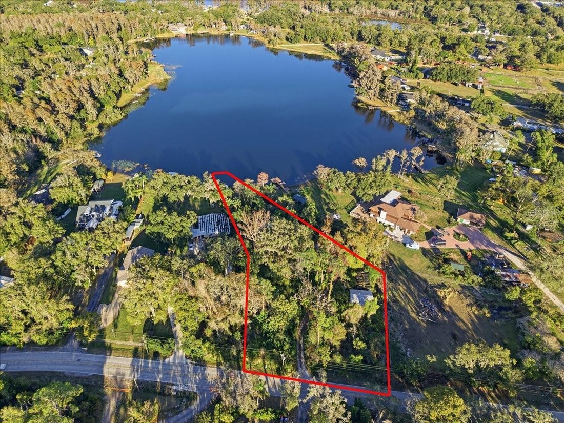 House in Odessa, Florida, United States 3 - 17185615