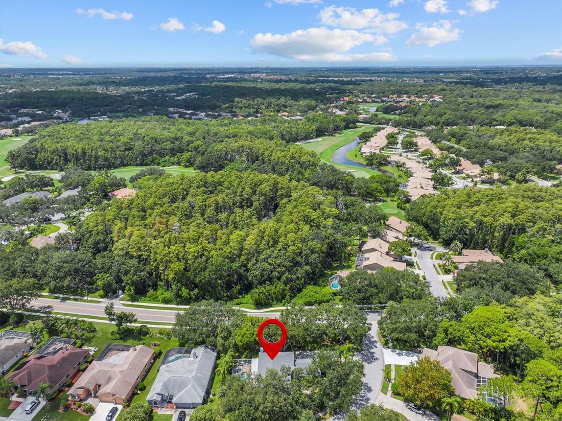 House in Oldsmar, Florida, United States 2 - 17182249