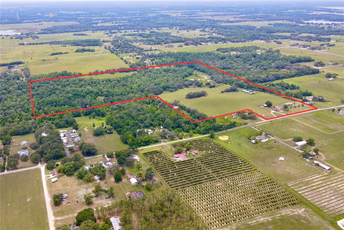 House in Dade City, Florida, United States 1 - 17185834