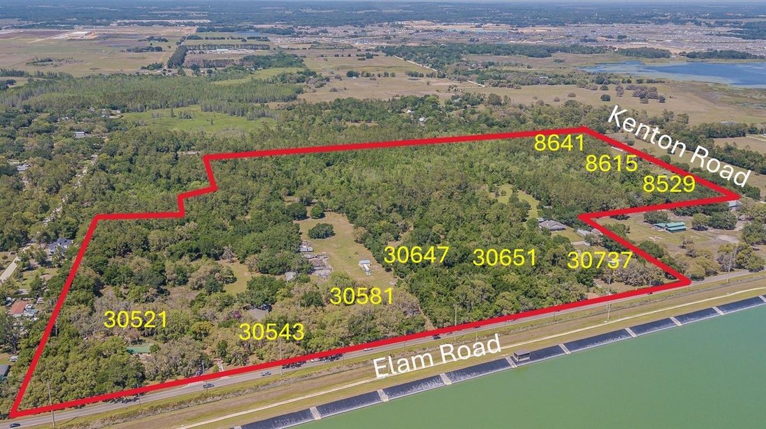 House in Wesley Chapel, Florida, United States 5 - 17184418